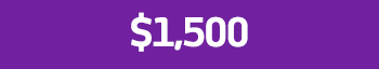 1500-VIRTUALES