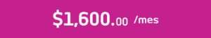 COSTOS WEB MIT-03